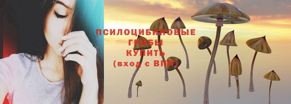 спиды Беломорск